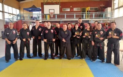 Último Torneo Interescuelas IVKS Kenpo Chile 2025: cierre de año marcado por el espíritu marcial